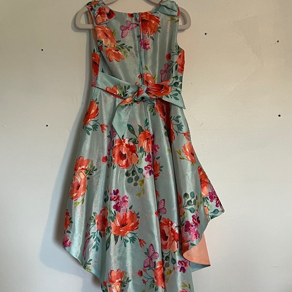 Girls Fancy Dress - Picture 3 of 4